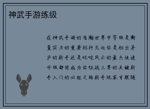 神武手游练级